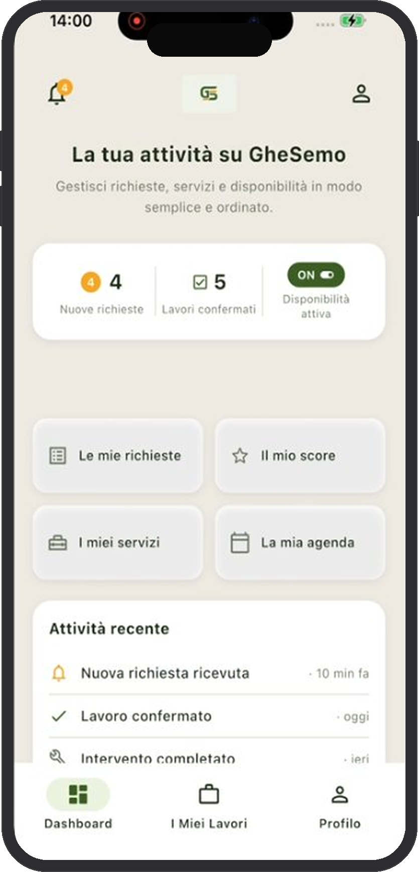 Dashboard professionista GheSemo